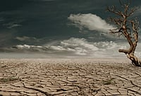 Pexels  : Representative Image